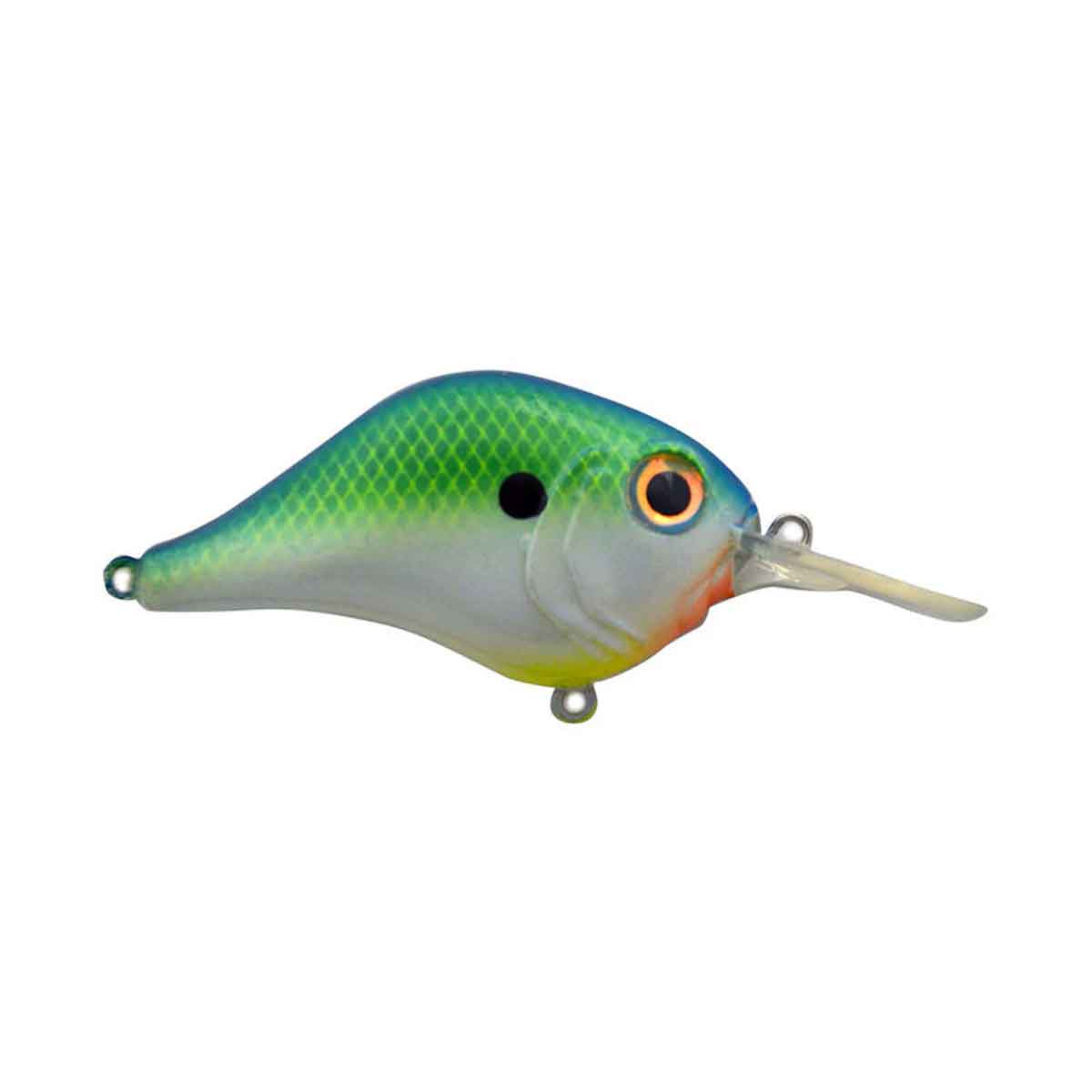 MR-6 Crankbait_Citrus  Shad