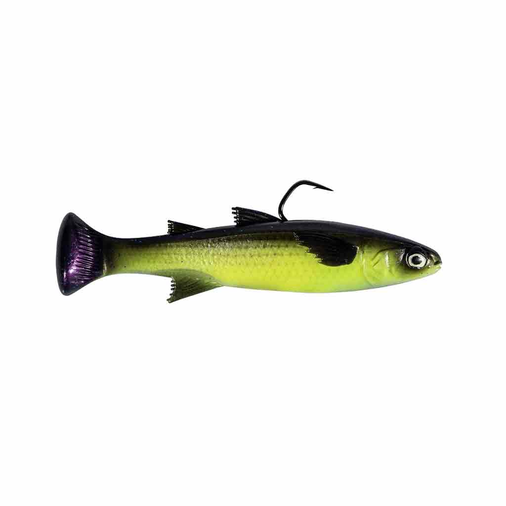 MULLETRON LT_BAYOU TIGER