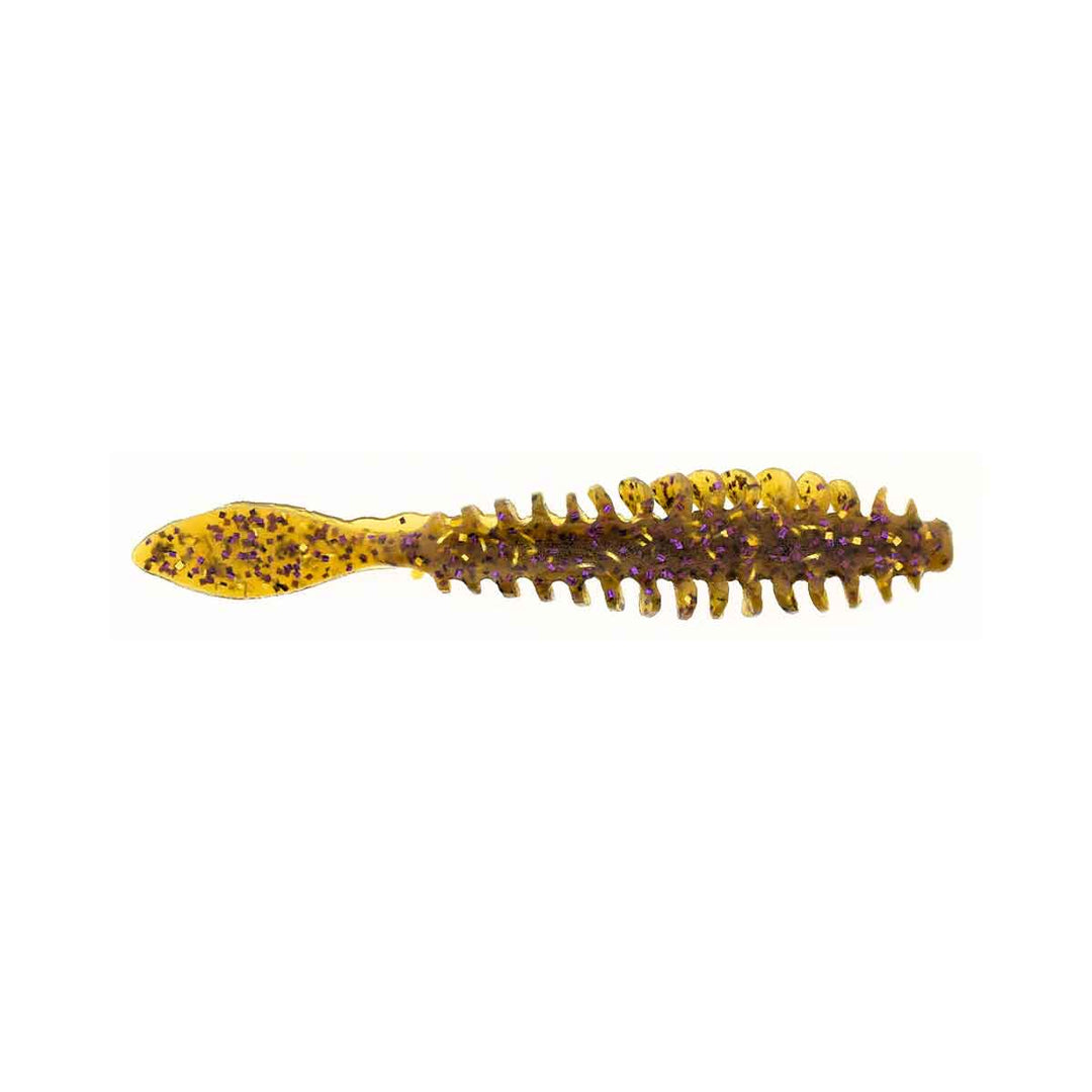 Poor Boys Baits Erie Darter