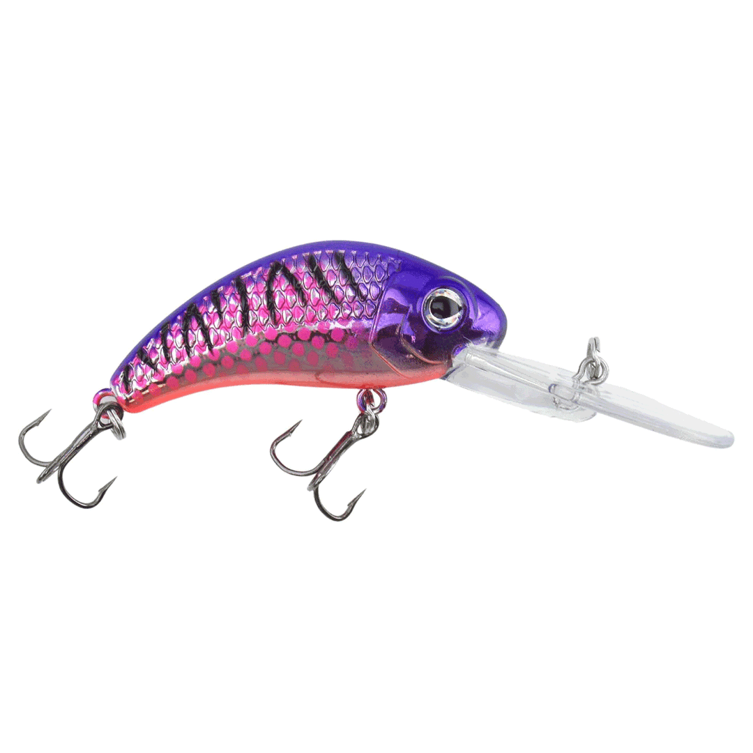 Walley Nation Boogie Shad
