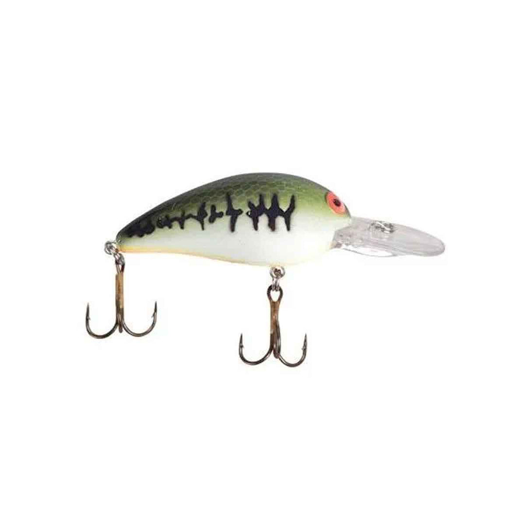 Model-A_Baby-Bass-Orange-Belly