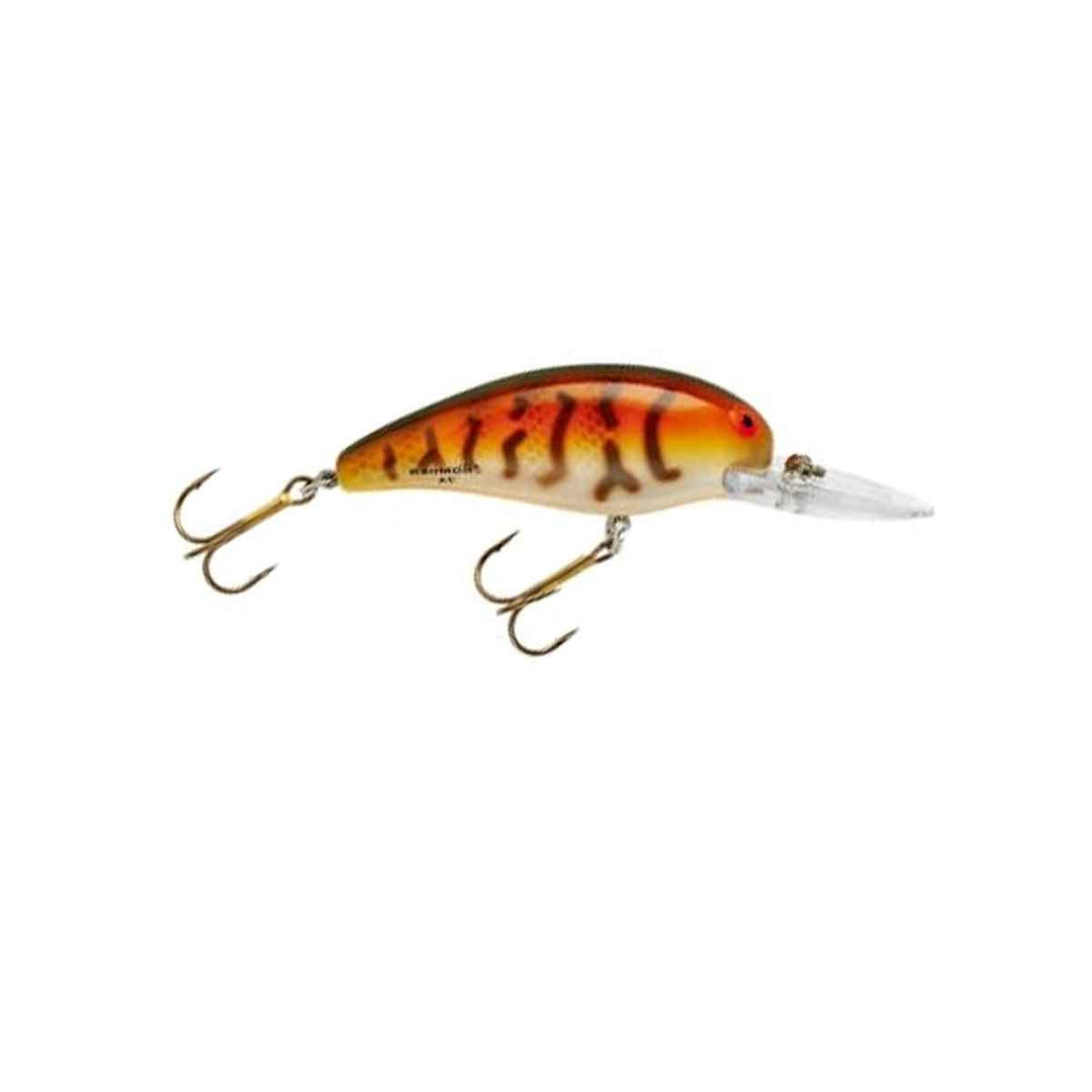 Model A_Tiger Perch