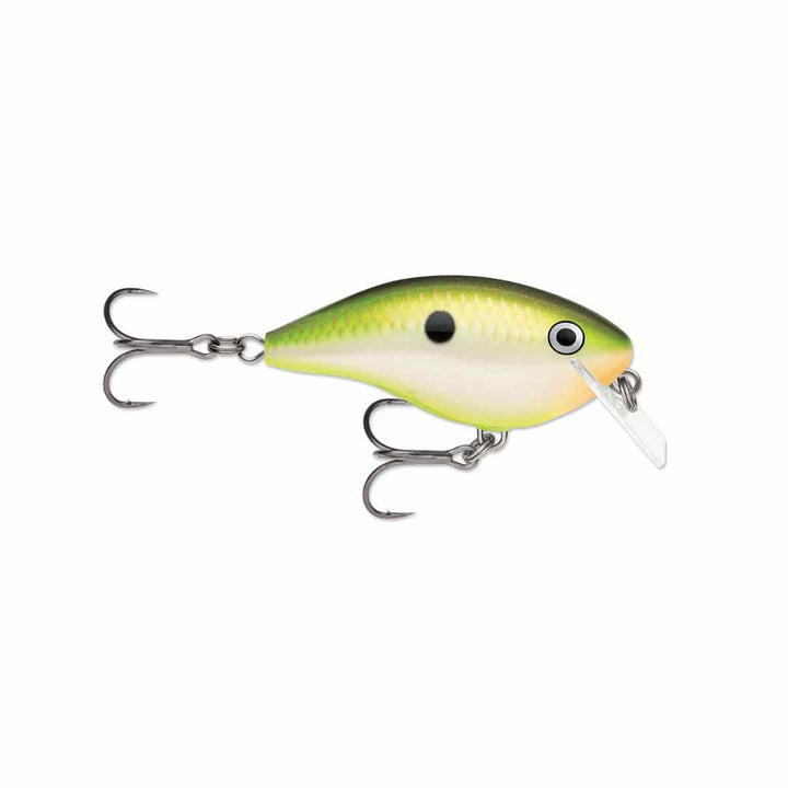 OG Rocco 5_Bruised Citrus Shad