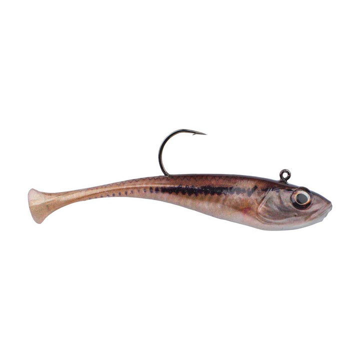 PB Power Switch_HD Blacknose Shiner