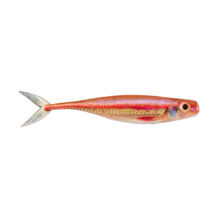 PB The Champ Minnow_HD Rainbow Shiner*