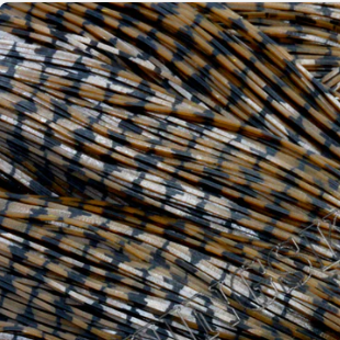 Skirts Unlimited Barb Wire Skirt