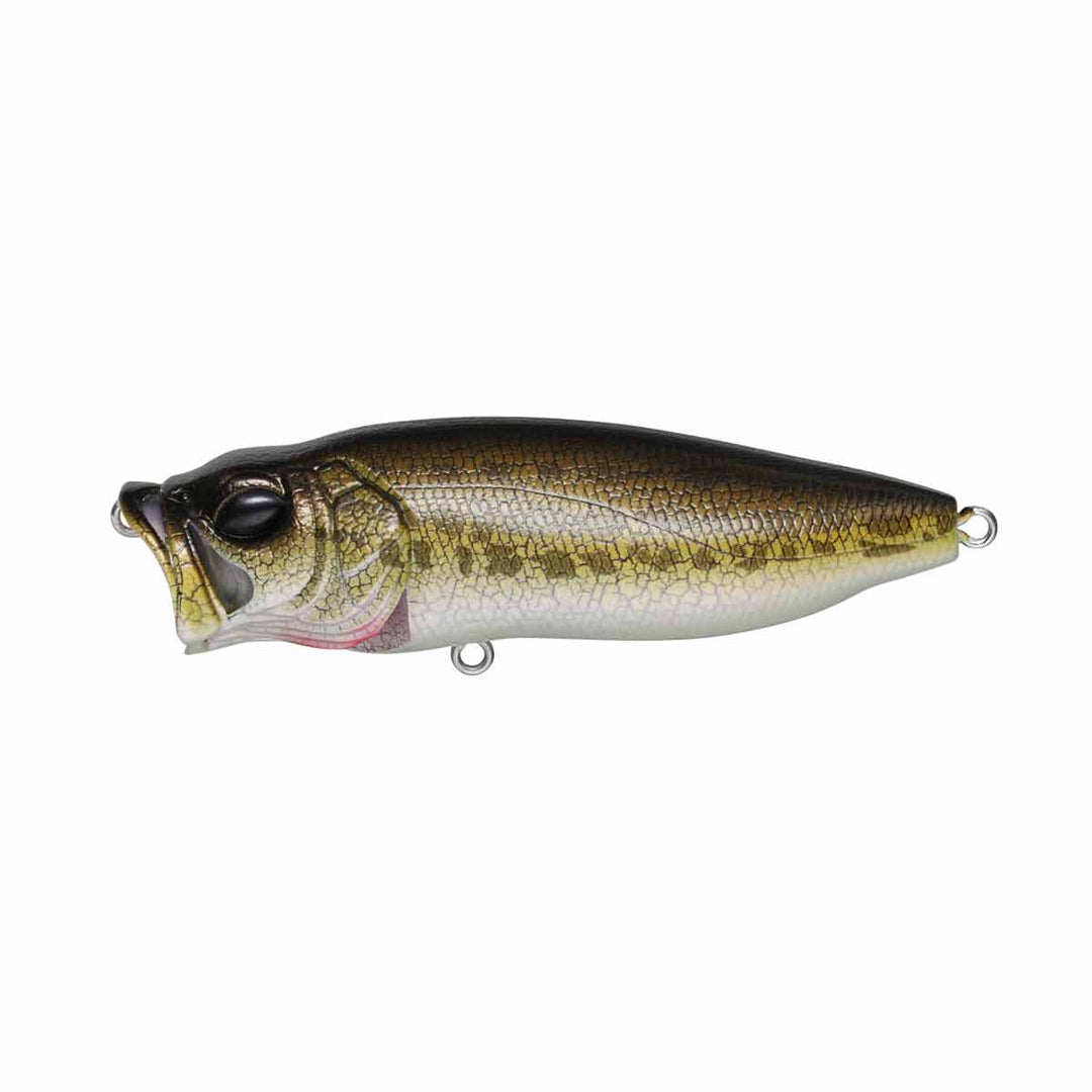 Megabass PopMax