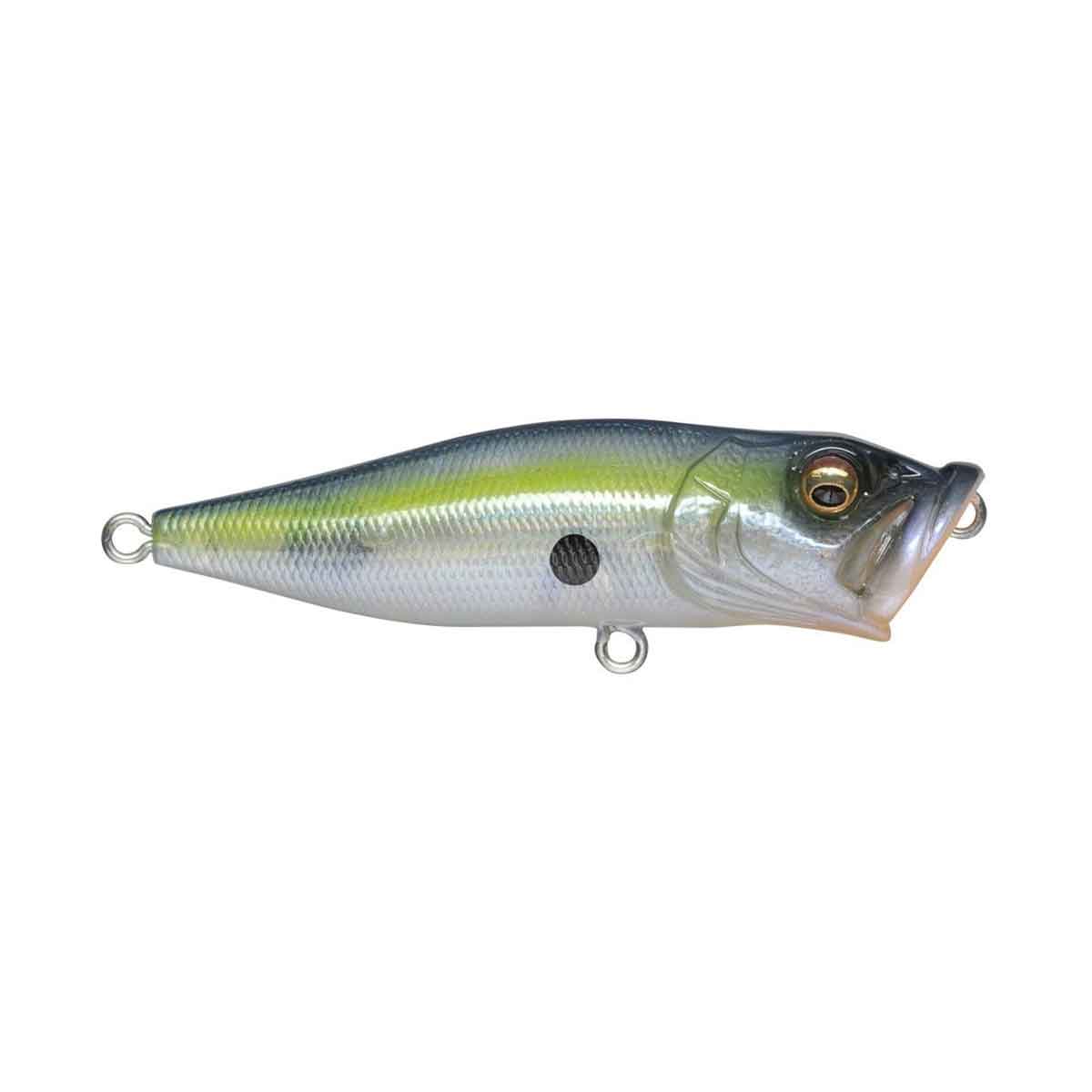 Megabass POP-X 98GGシャッド激レア Megabass PopX | Premium Topwater Popper for Explosive Bass Strikes