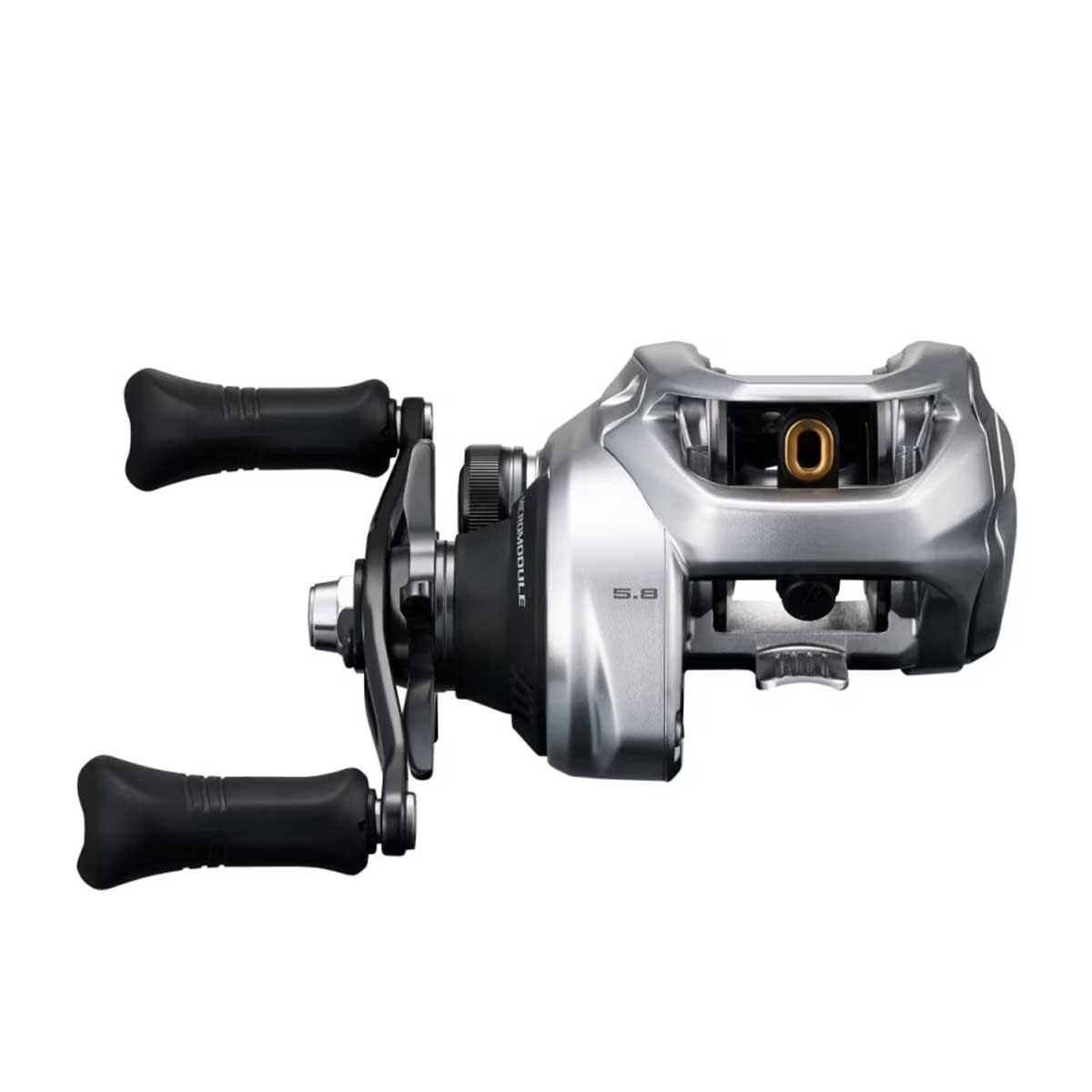 Shimano Tranx 300 Casting Reel | Power & Saltwater Tough