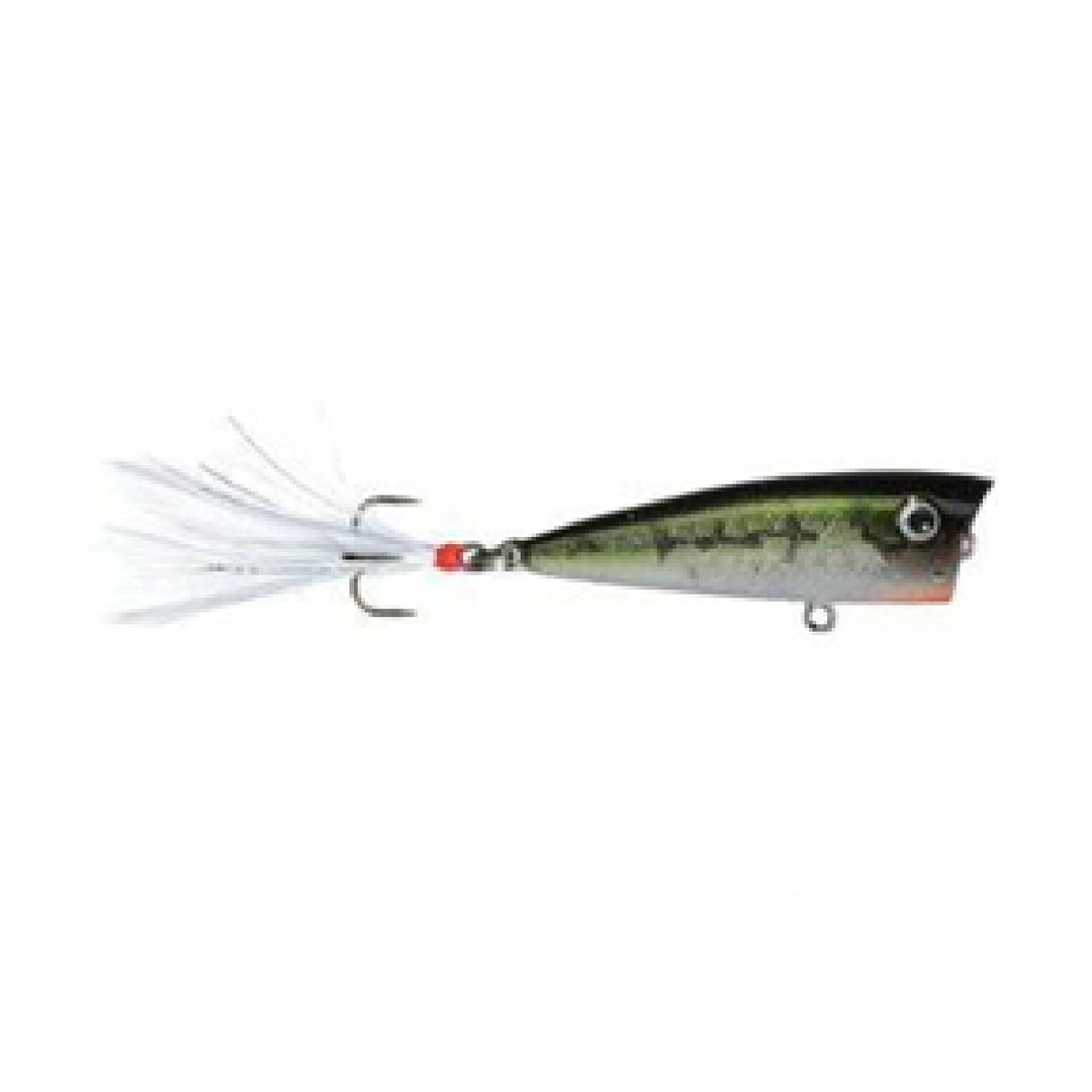 Lobina Lures Rio Rico Popper