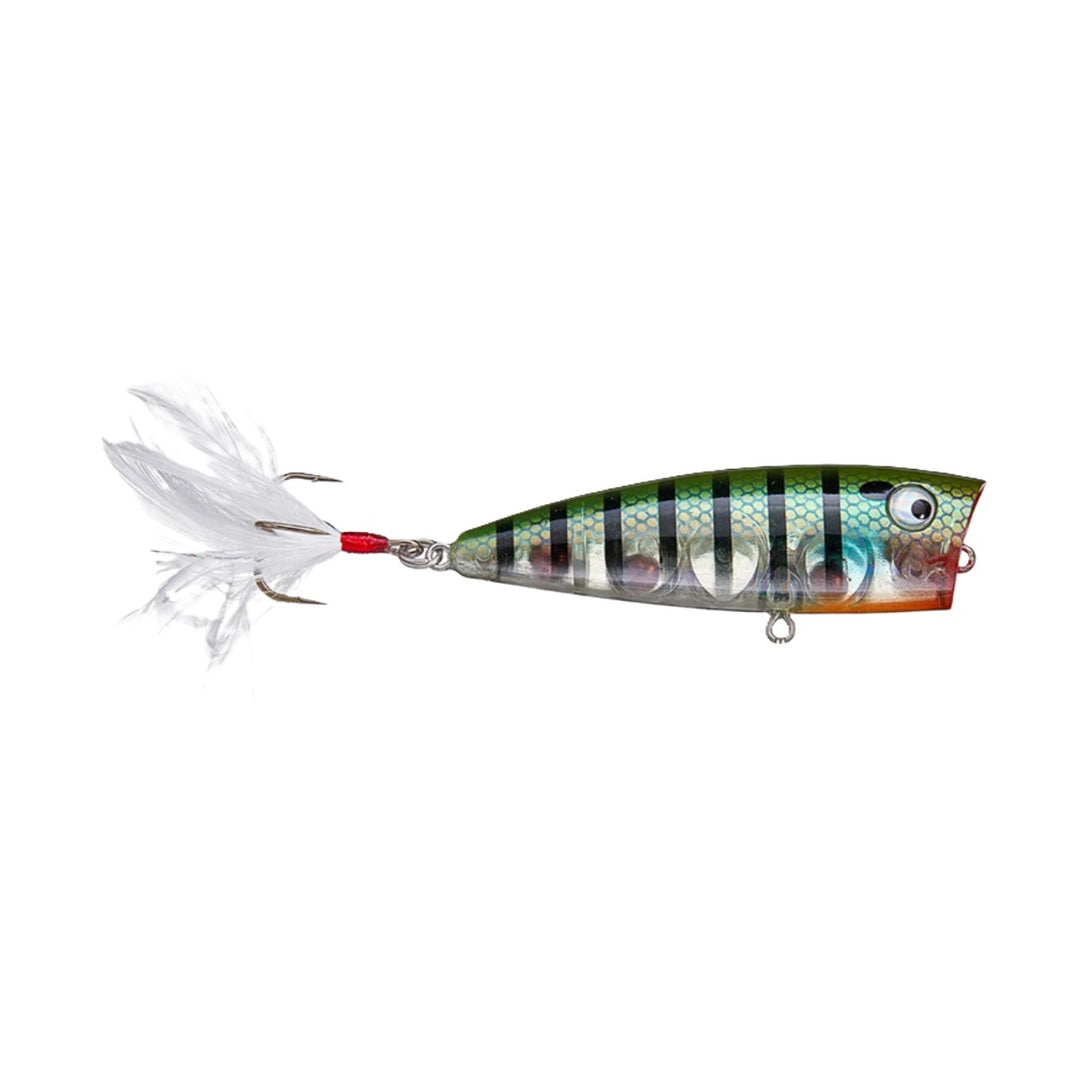 Lobina Lures Rio Rico Popper