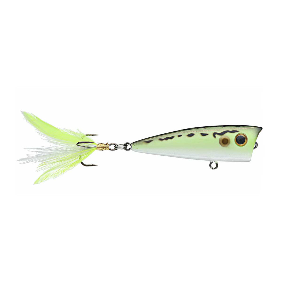 Lobina Lures Rio Rico Popper