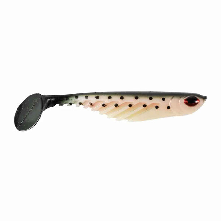 Ripple Shad_Rainbow Trout