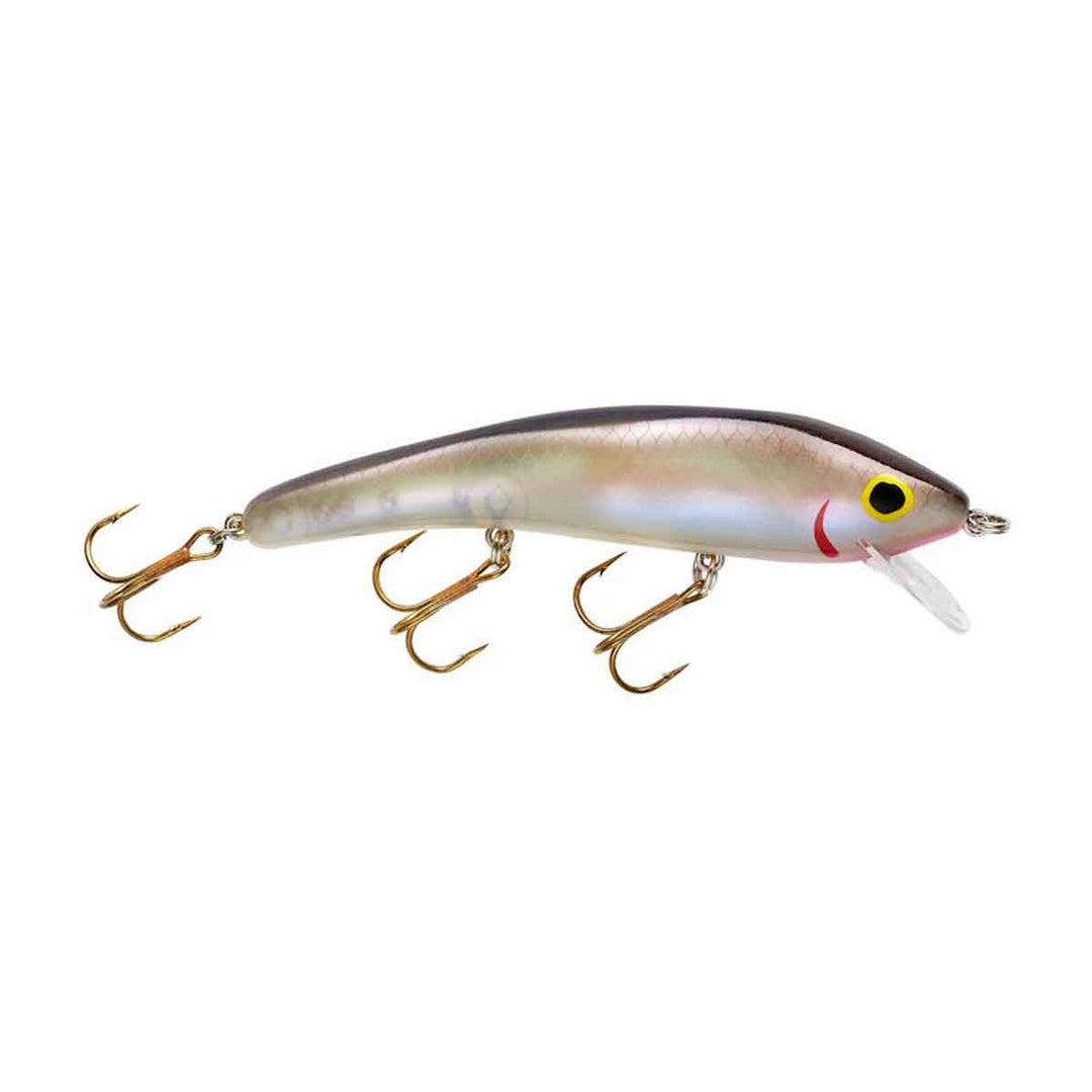 Ripplin Red Fin_Cold Water Shad