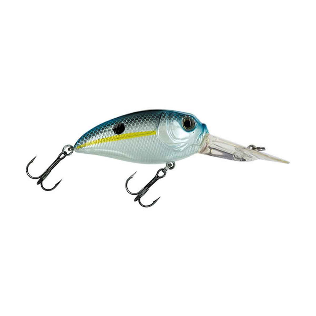 Molix Sculpo Rattlin&