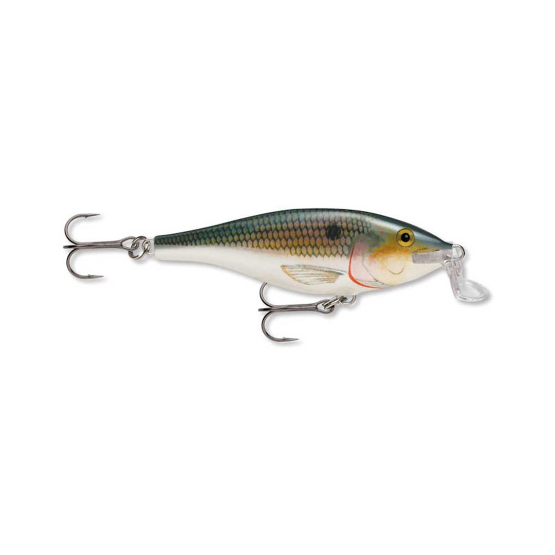 Shallow Shad Rap_Shad