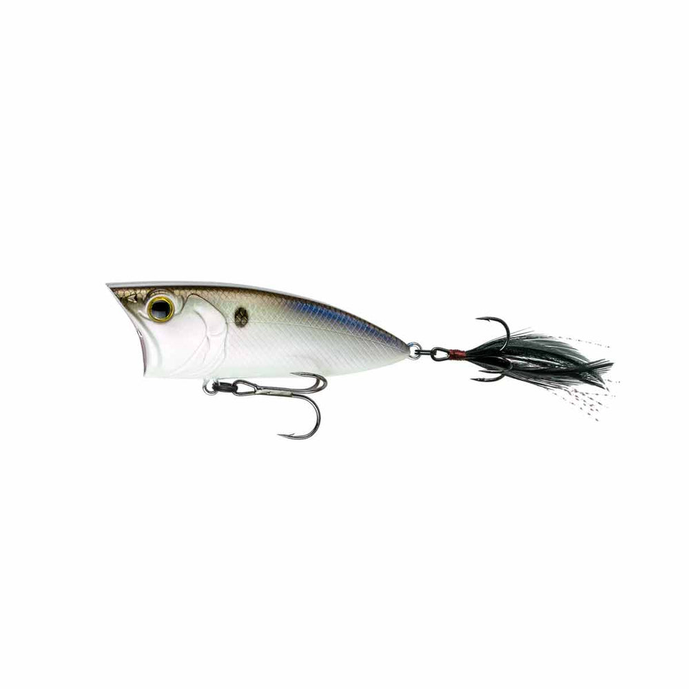 SplashBack Popper_4K Shad