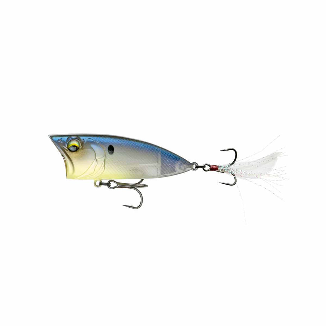 SplashBack Popper_Ghost Bone Minnow