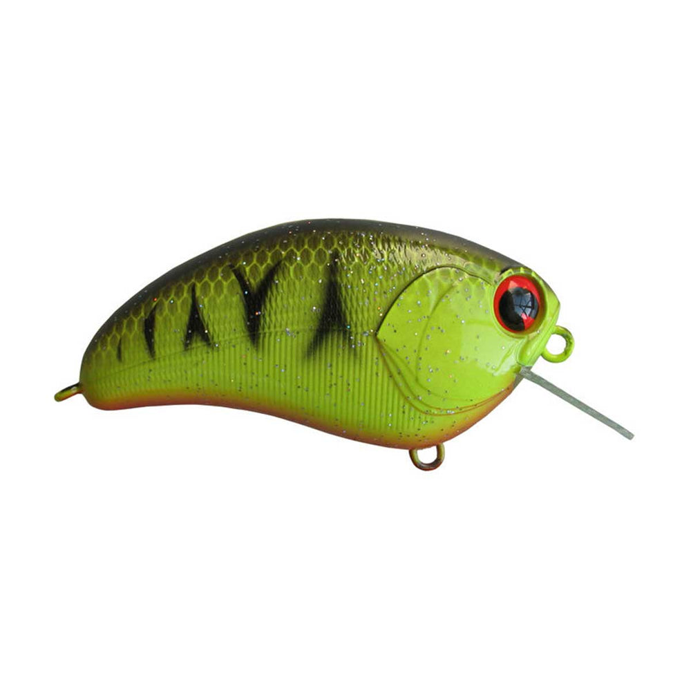 Square Bill_Barred Black Back Chartreuse