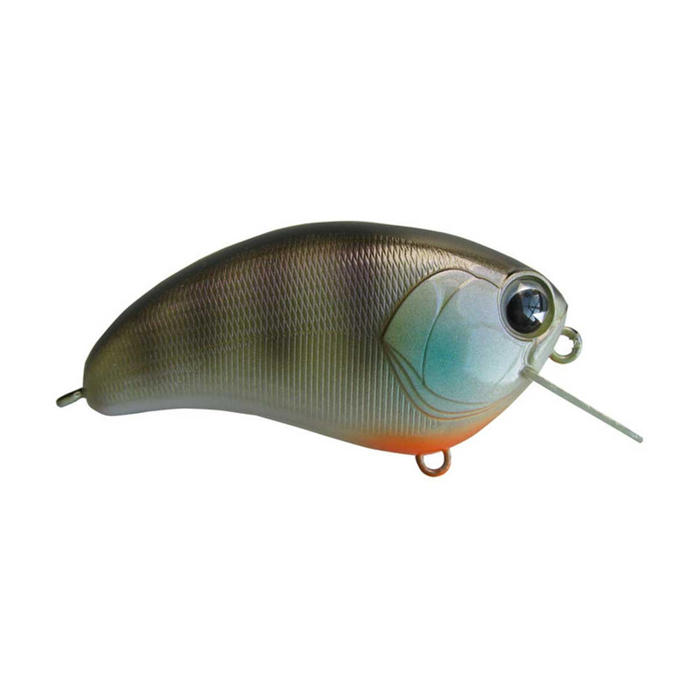 Square Bill_Bluegill