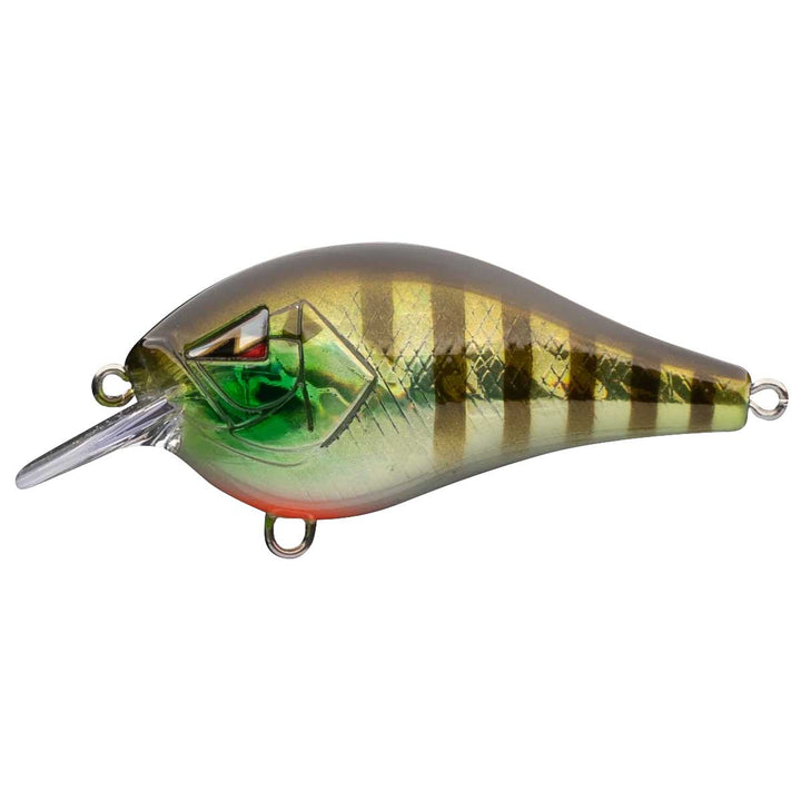 Squarebill Crankbait_Green Gill