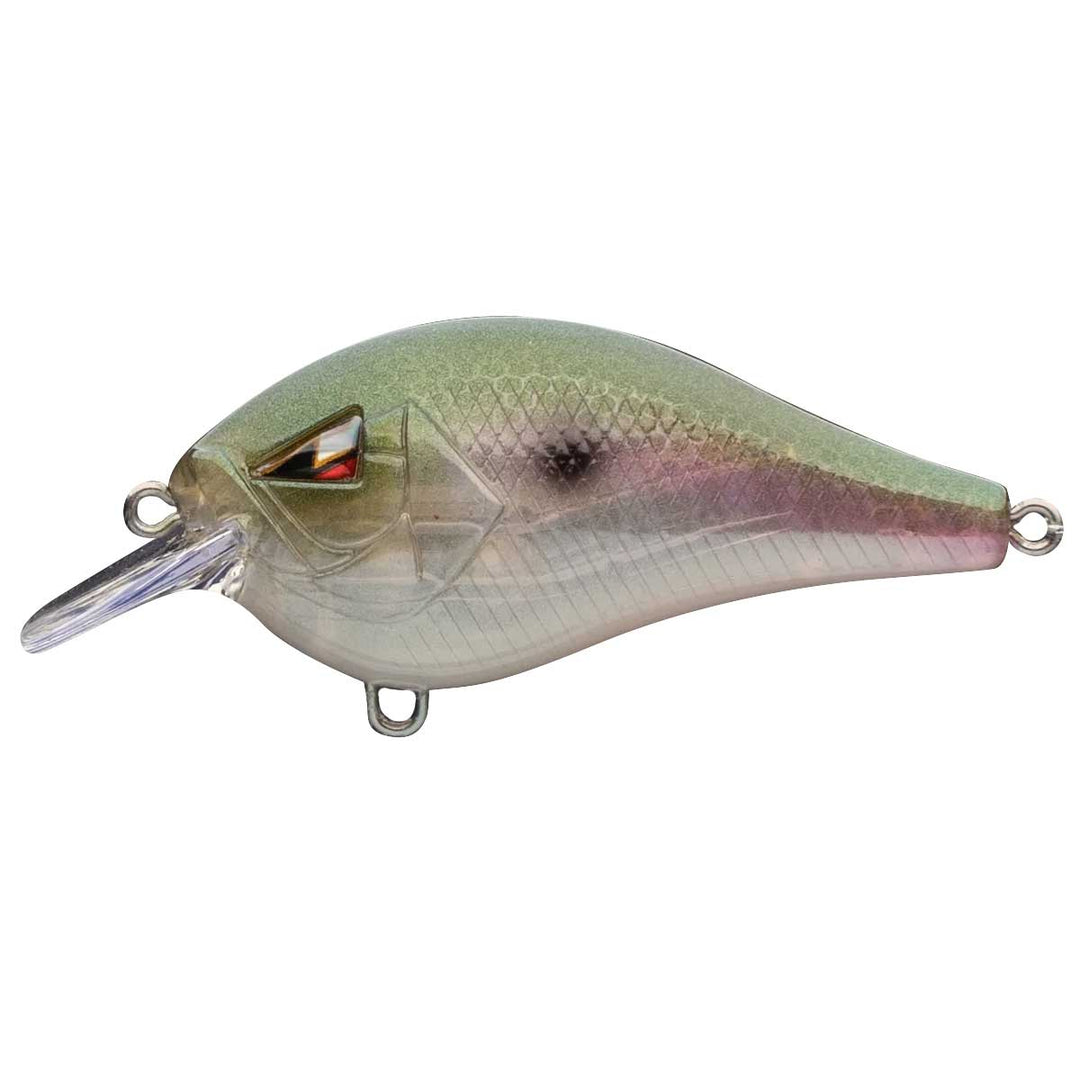 Squarebill Crankbait_Mystic Gizzard