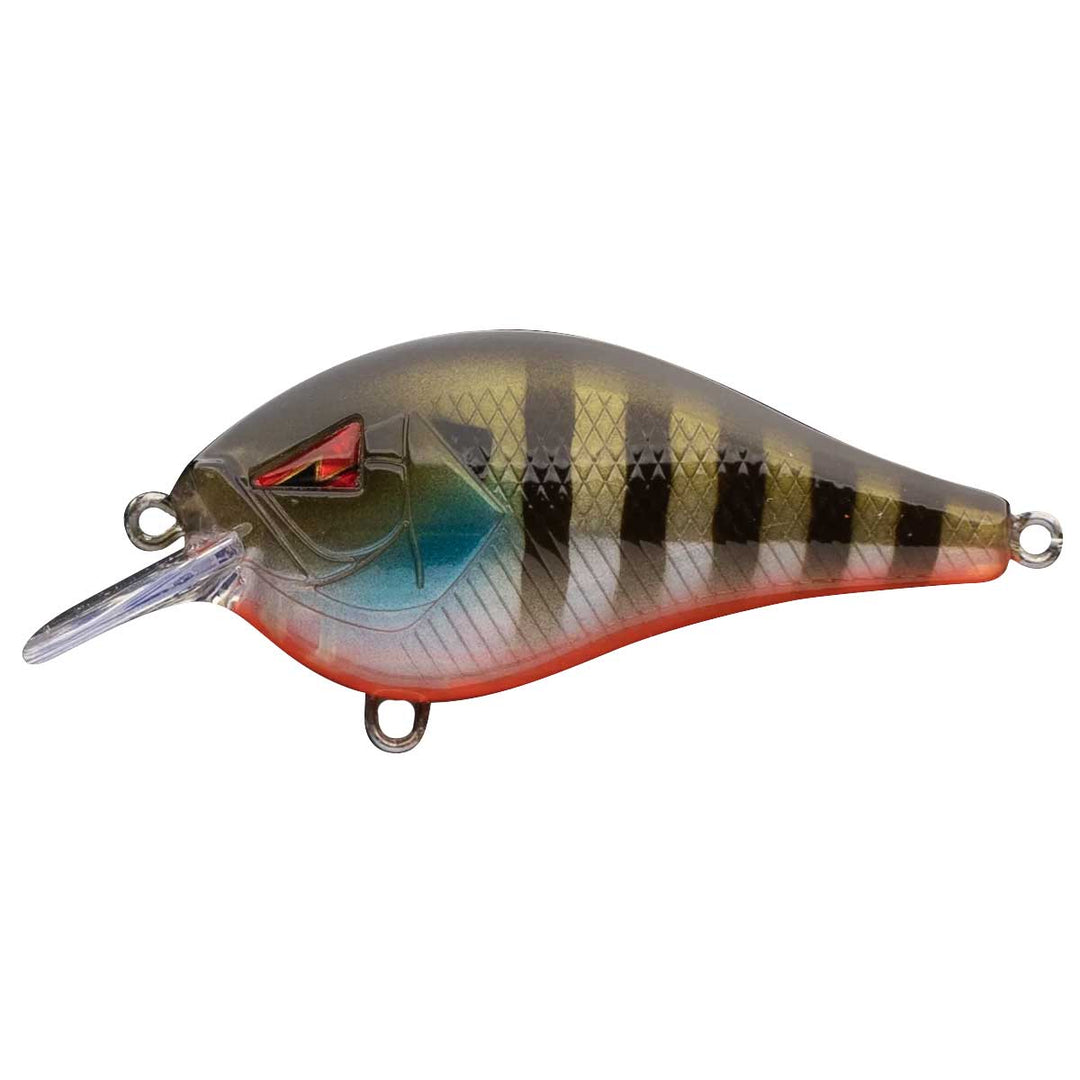 Squarebill Crankbait_Sungill