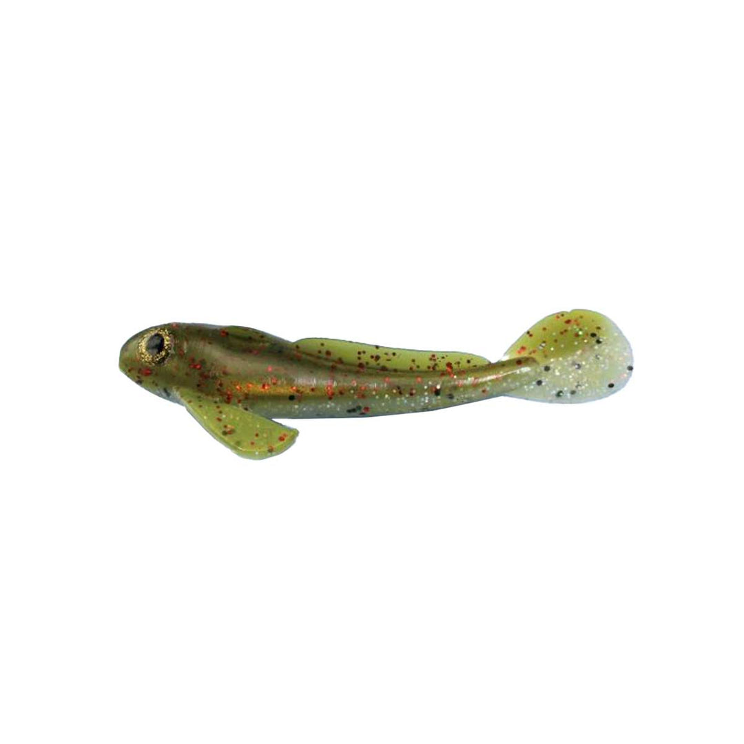 Stanley Goby