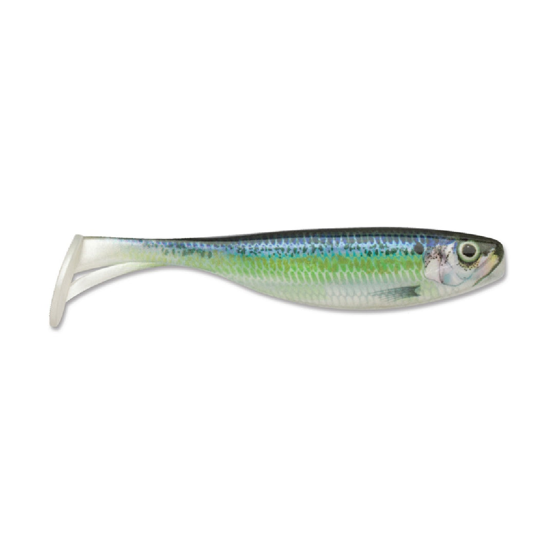 Storm Largo Shad