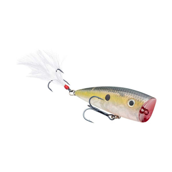 Strike King KVD Splash Popper topwater fishing lure for bass fishing