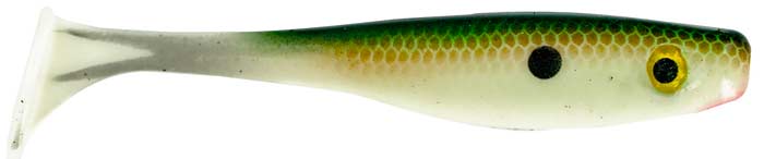 Suicide Shad_Tennessee Shad
