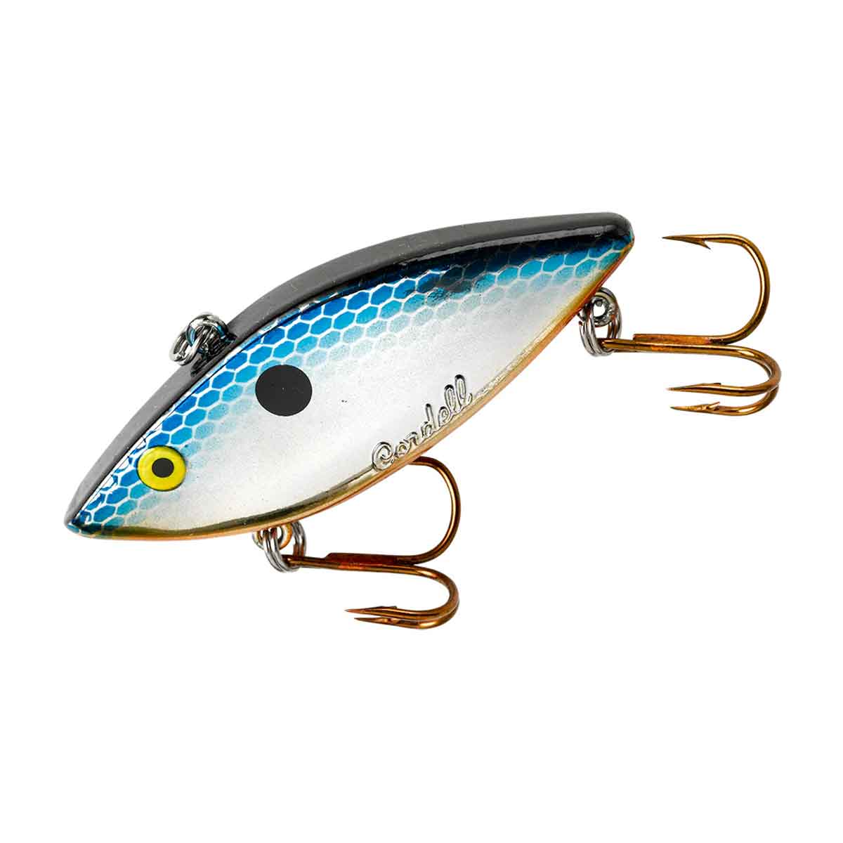 Super Spot_Blue Shiner