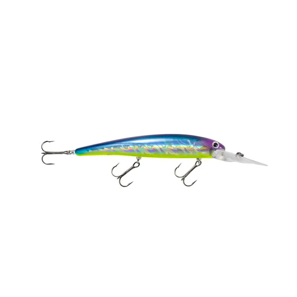 Suspending Minnow_Blue Shiner