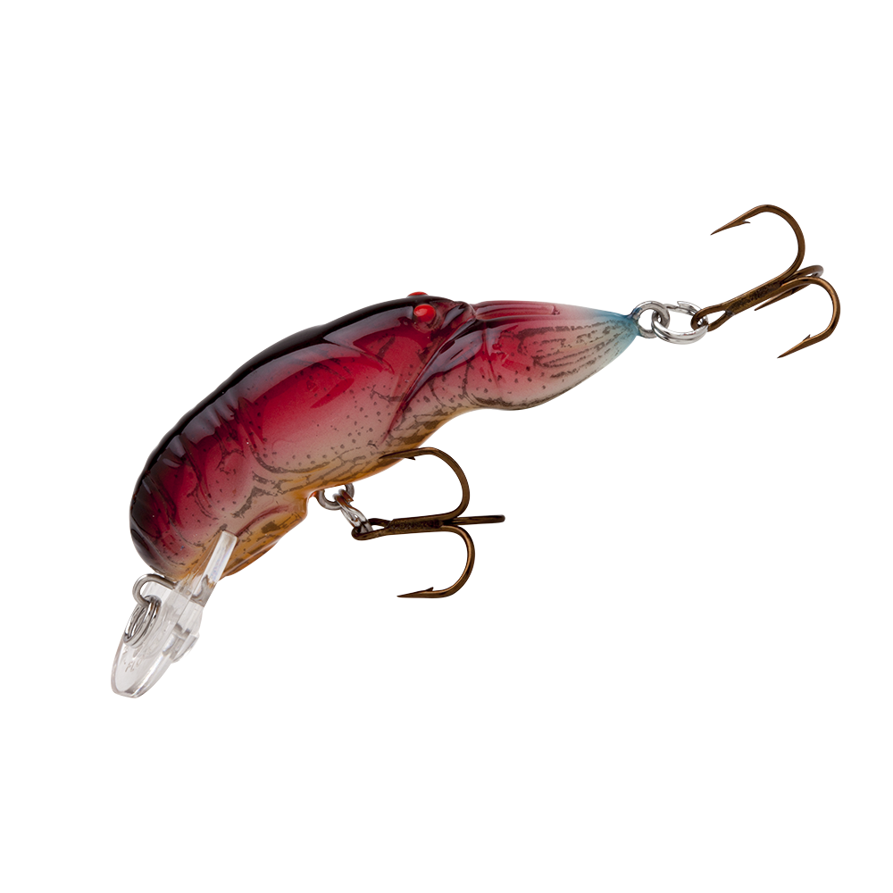 Rebel Teeny Wee Craw