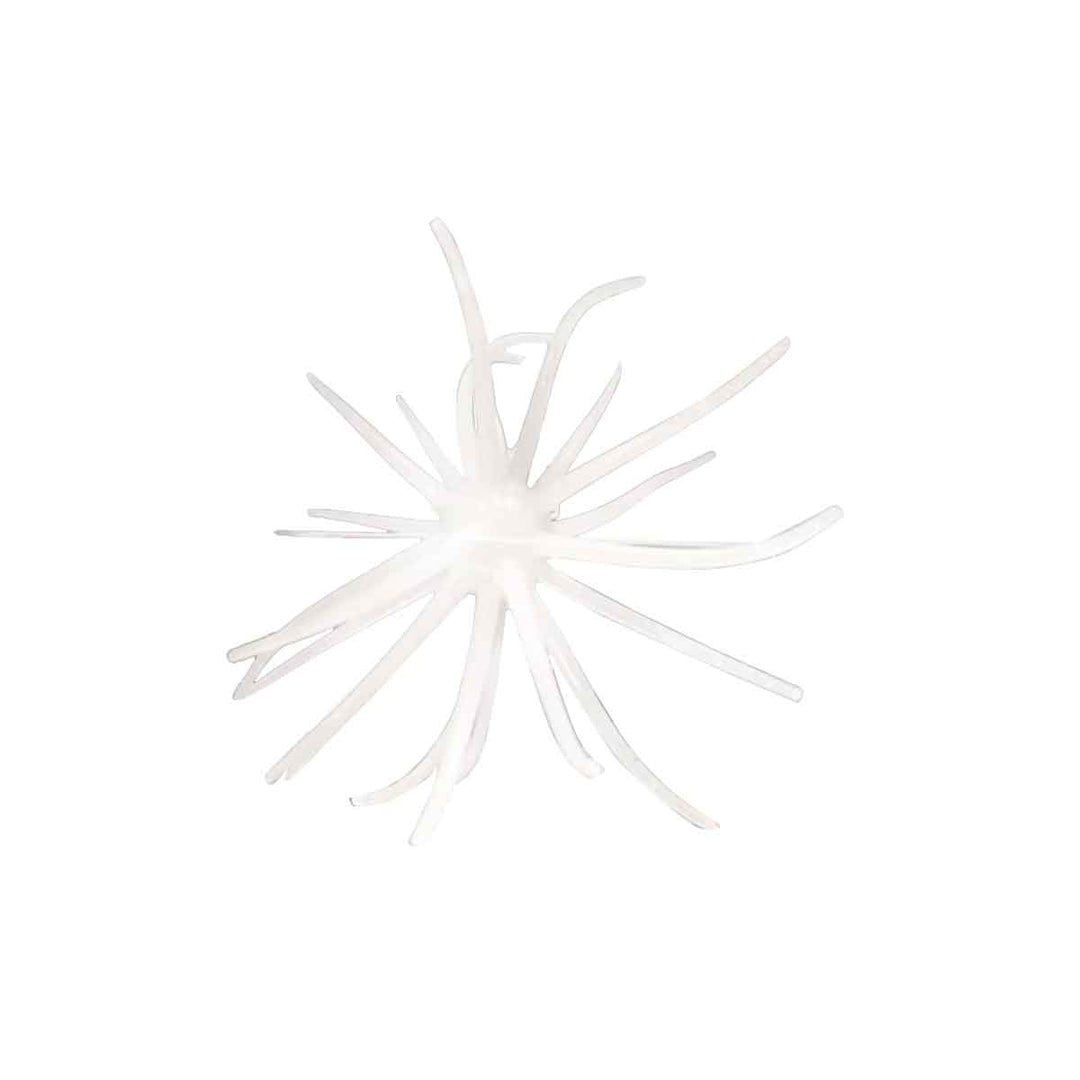 Hag's Prickly Pear - Fishermans Central