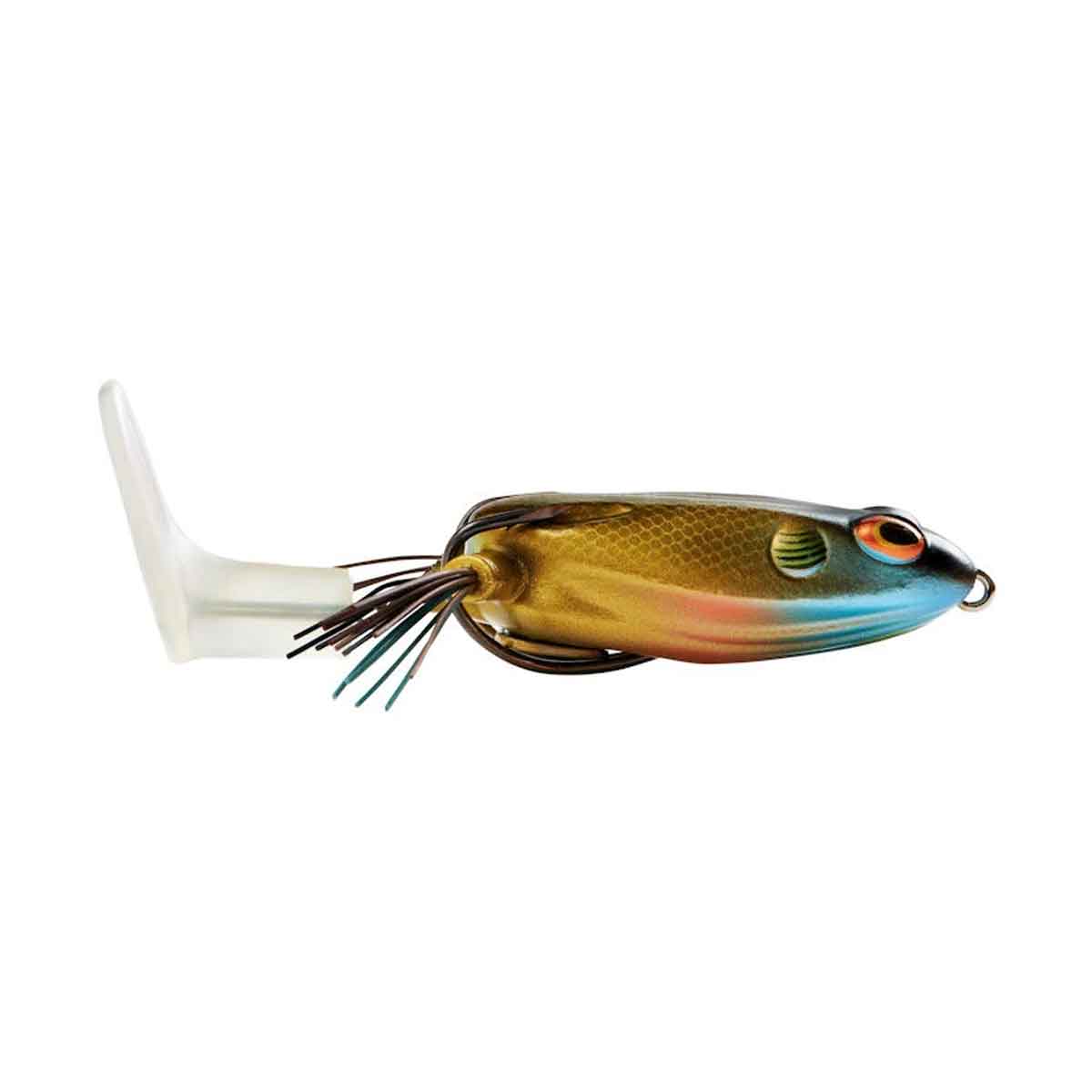 Toadrunner_Blue Gill