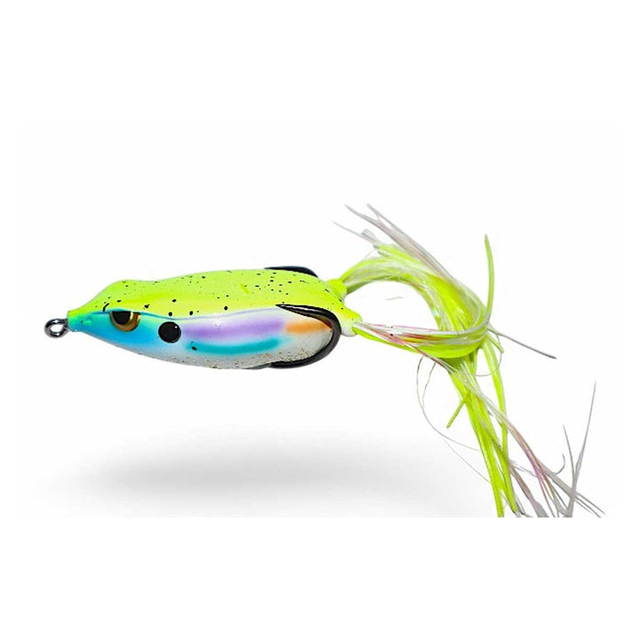 Gambler Walking Frog
