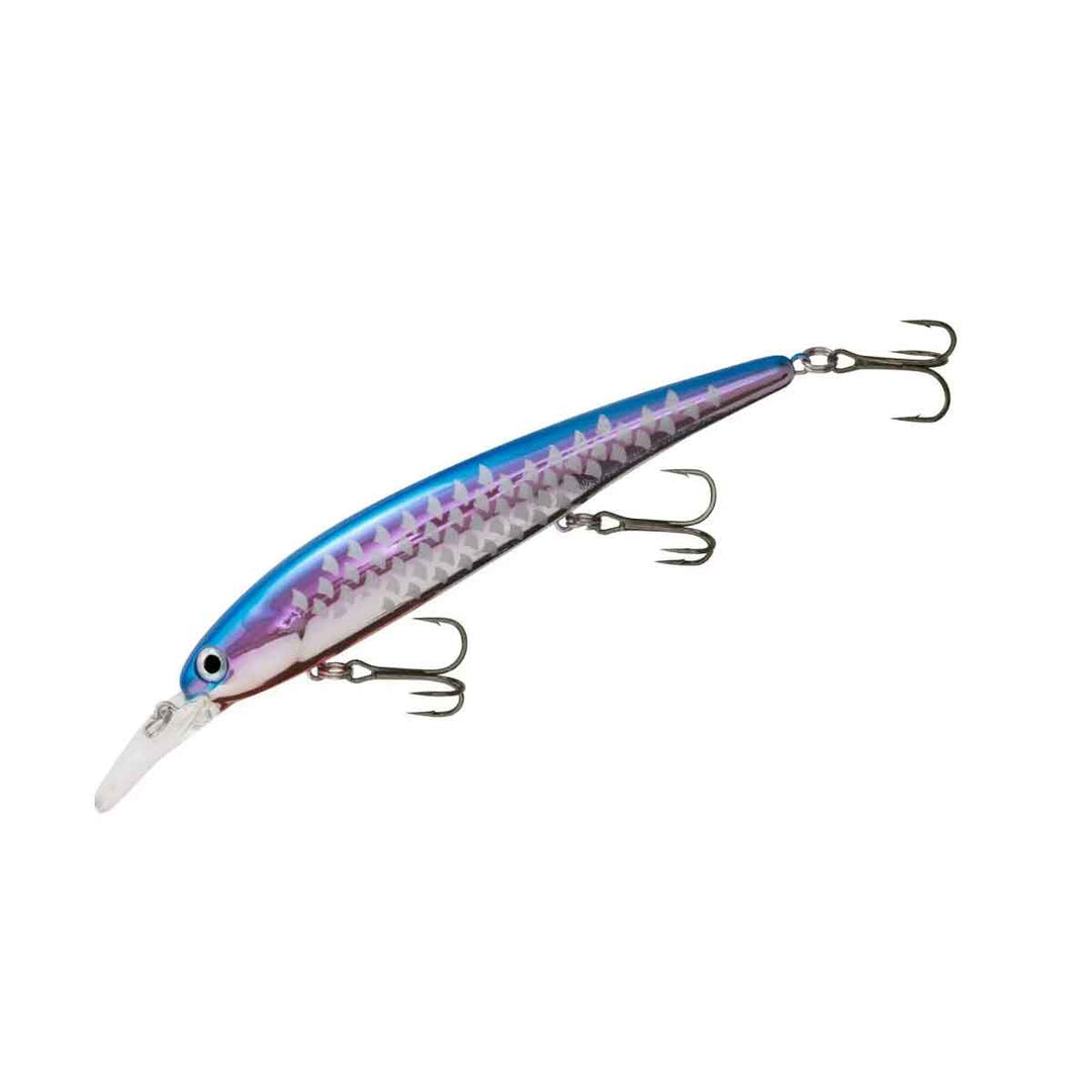 Bandit Walleye Shallow