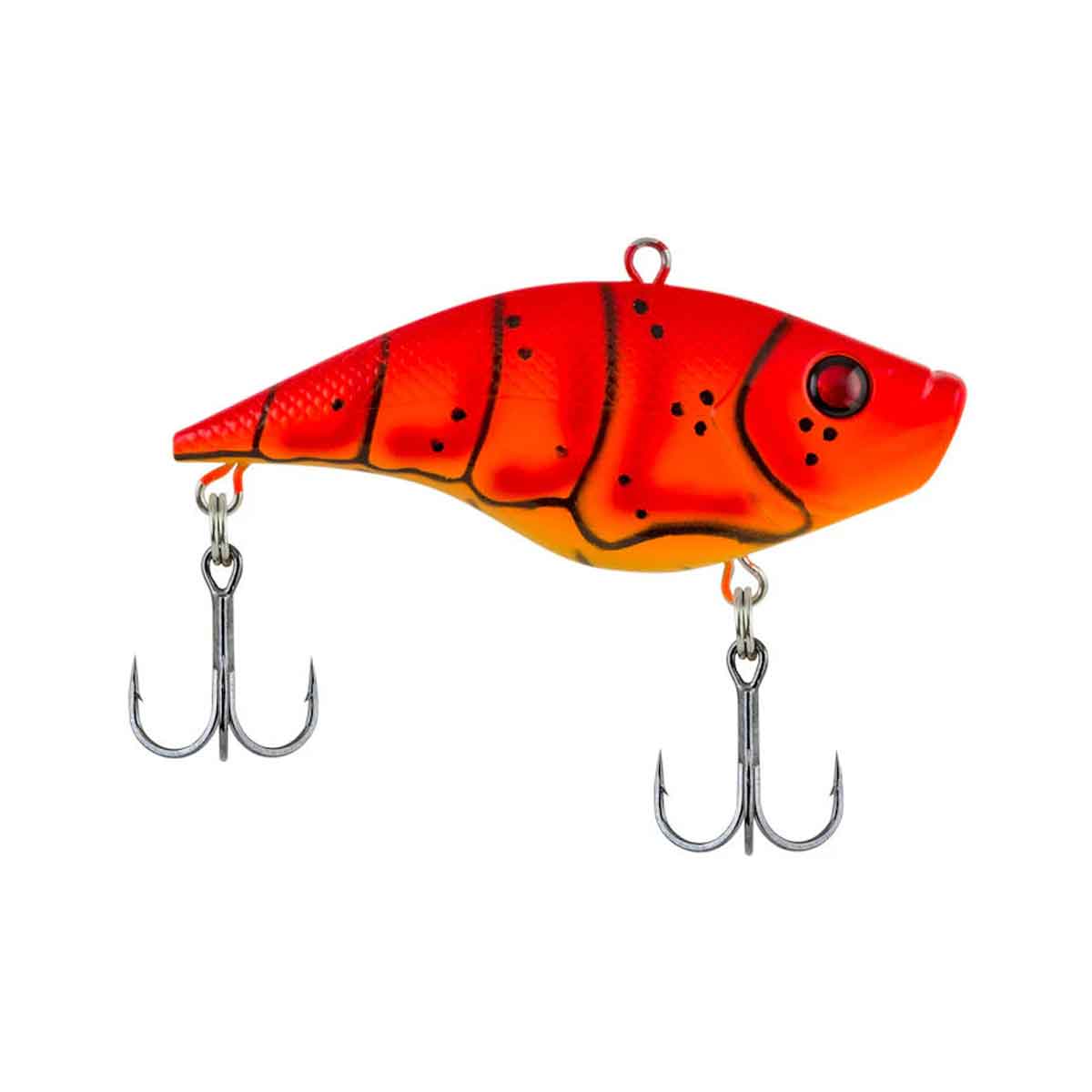 Warpig_Blood Orange Craw*