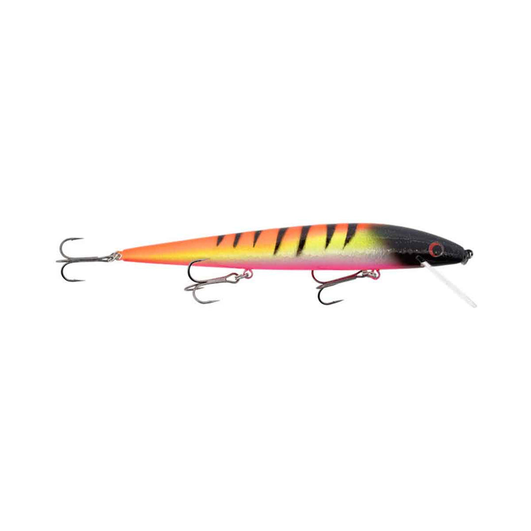 Warrior Lures Custom Perfect 10 Rogue