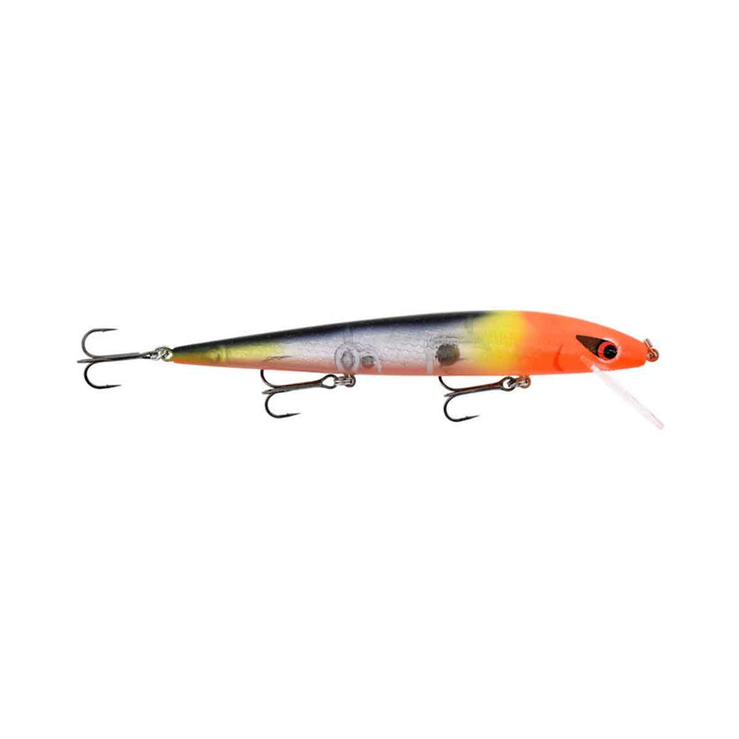 Warrior Lures Custom Perfect 10 Rogue