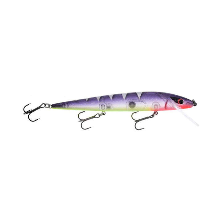 Warrior Lures Custom Perfect 10 Rogue