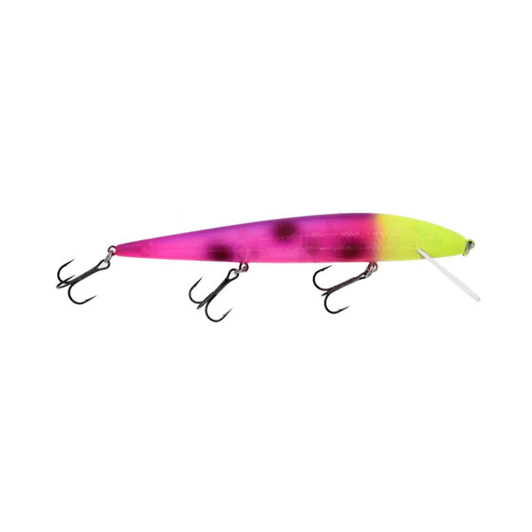 Warrior Lures Custom Perfect 10 Rogue