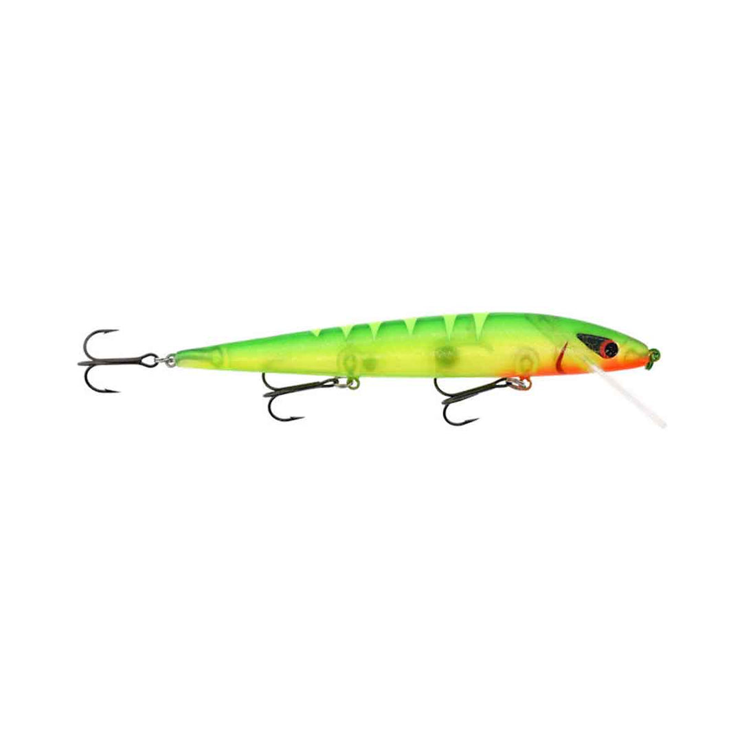 Warrior Lures Custom Perfect 10 Rogue