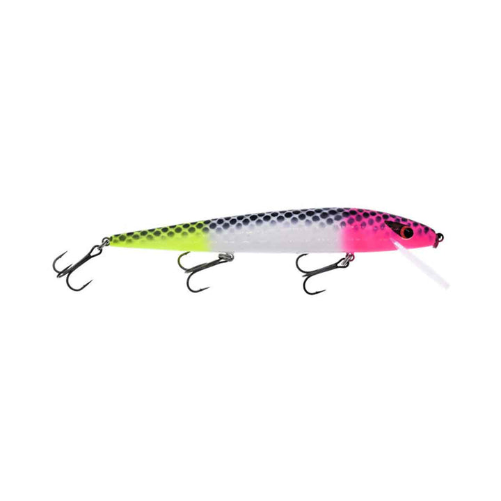 Warrior Lures Custom Perfect 10 Rogue