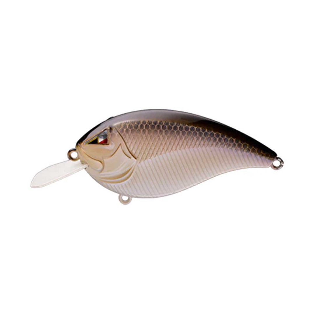 Z-Flat Flatside Squarebill_Real Shad