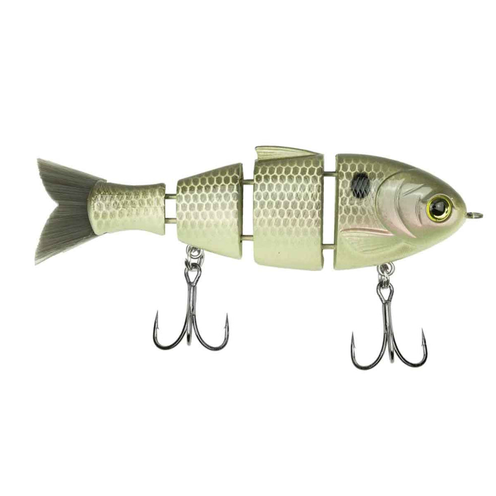 Baby Bull Shad_Gizzard Shad