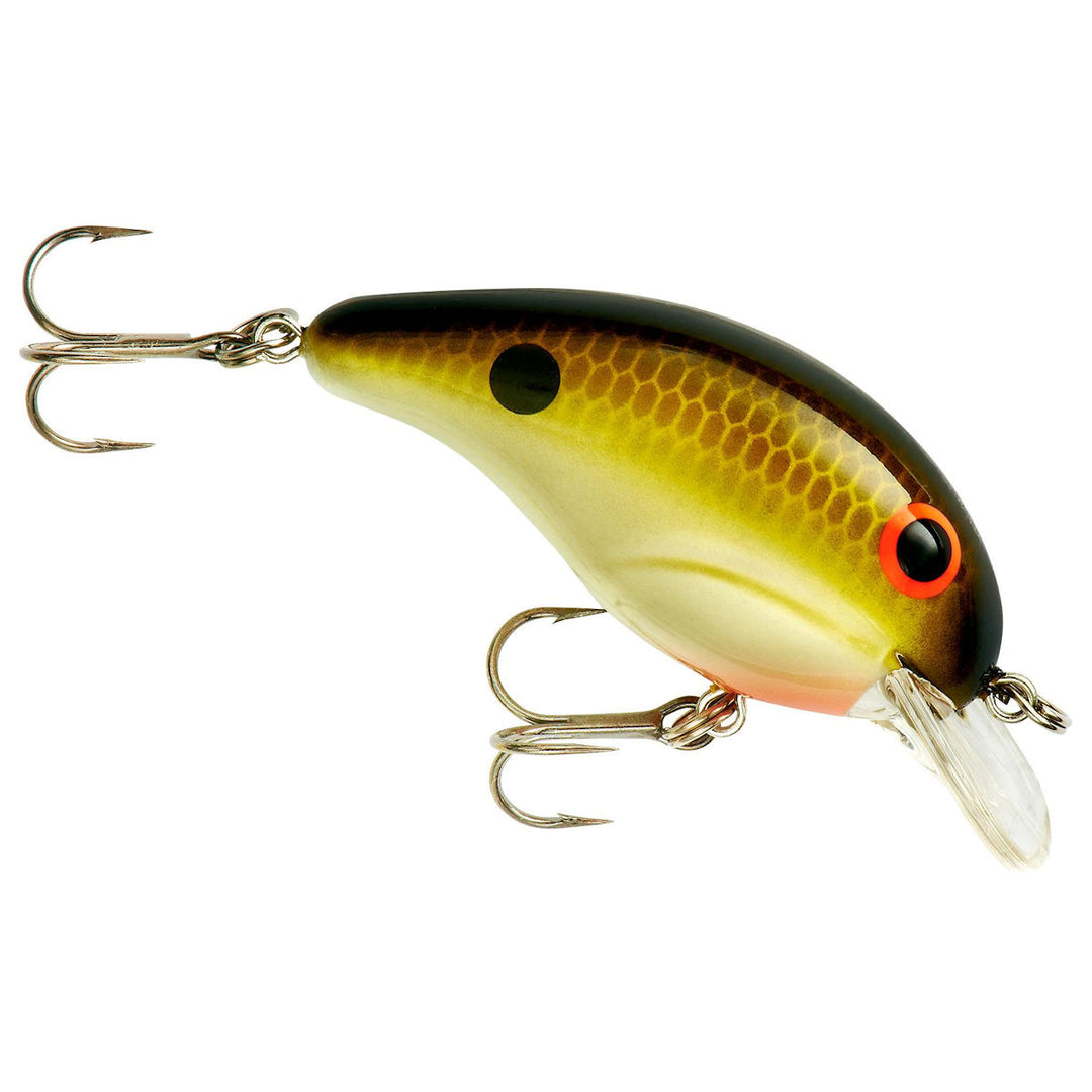 100 Series_Tennessee Shad