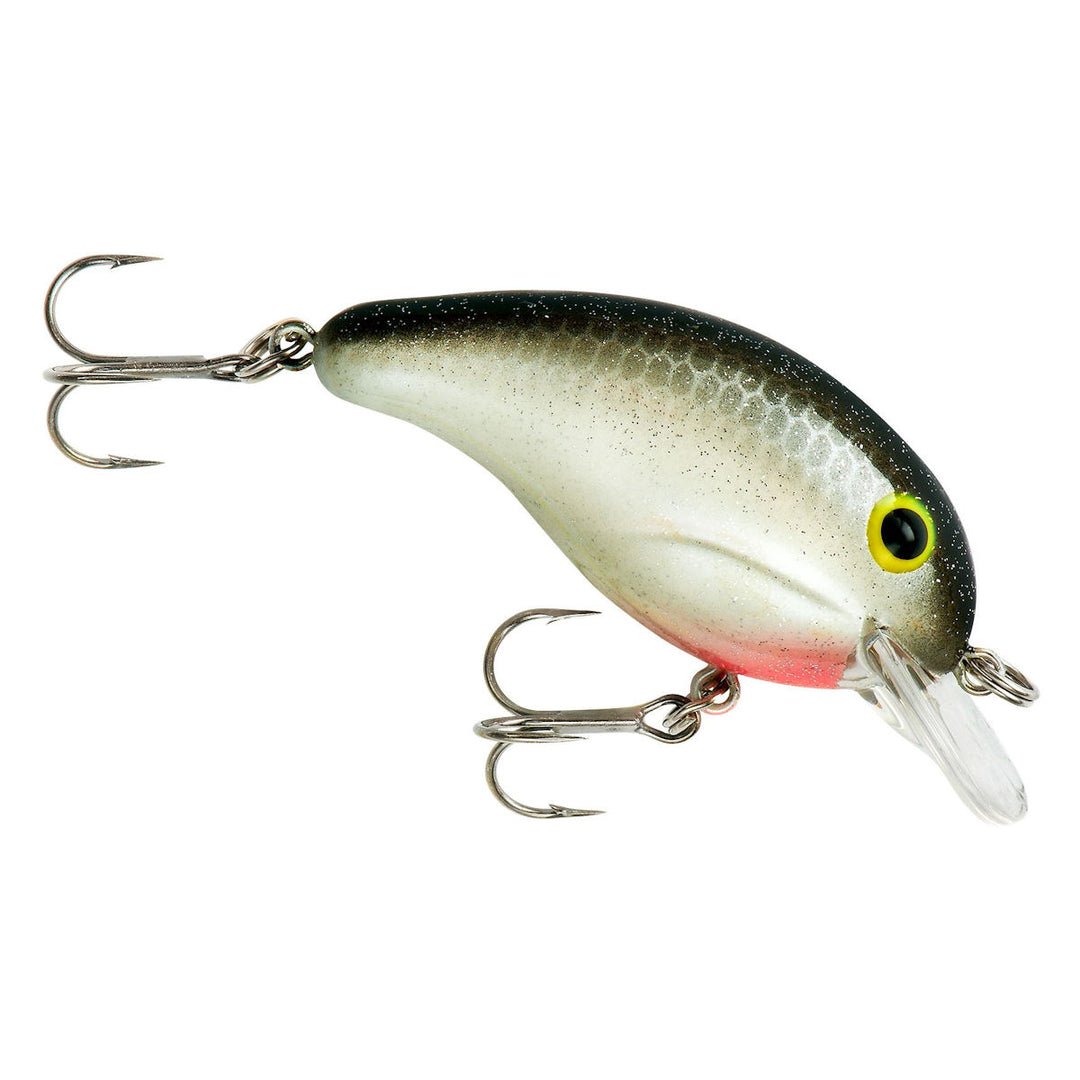 100 Series_Silver Minnow