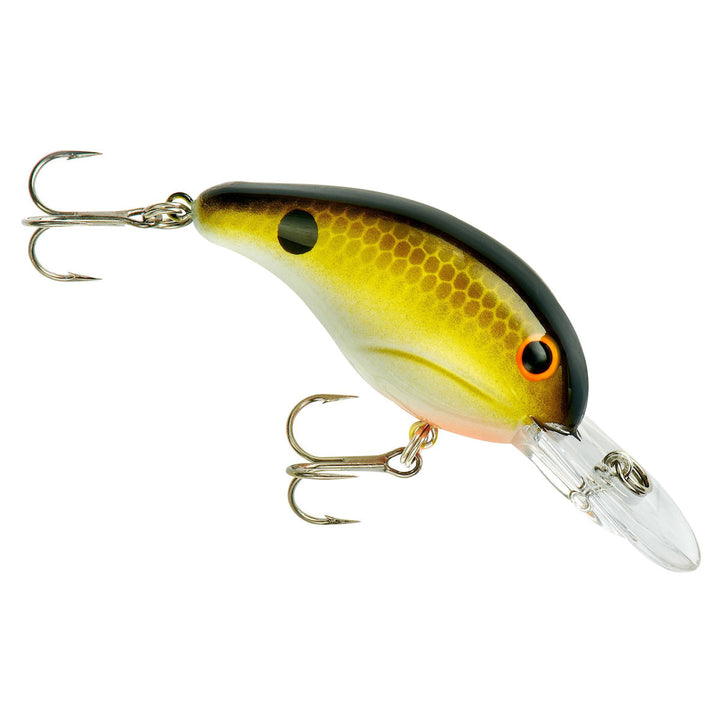 200 Series_Tennessee Shad